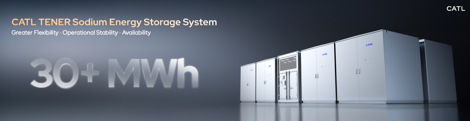 image 3.png